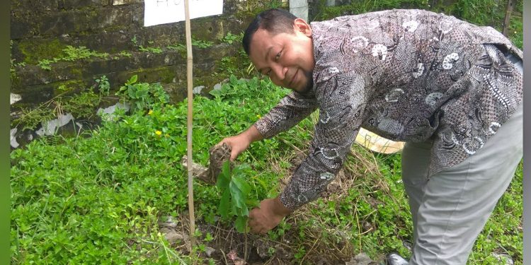 Awak Media Tanam Pohon dan Santuni Anak Yatim serta Dhuafa. Aniversary MPN Korwil Tuban Ke-2