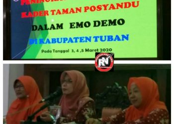 Peningkatan Kapasitas Kader Taman Posyandu Dalam Emo Demo