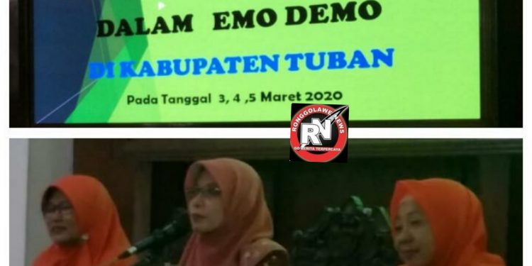 Peningkatan Kapasitas Kader Taman Posyandu Dalam Emo Demo