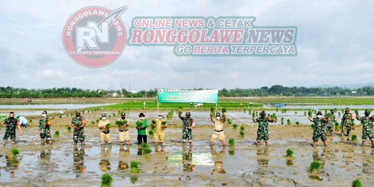 Dandim 0811 Tuban Pinta Jajarannya Terus Dampingi Petani Dalam Rangka Wujudkan Hanpangan Nasional