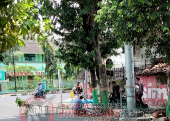 Diduga Tak Miliki Izin, Menara Microsell Pole Itu Dibongkar