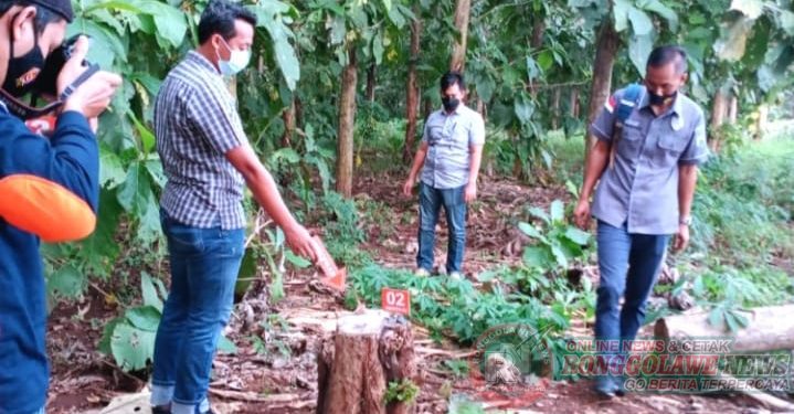 Demi Perbaiki Rumah , Seorang Kakek Di Tuban Curi Kayu Milik Perhutani