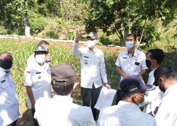 Perbaiki Ekosistem Hulu Diharapkan Mengatasi Banjir Jangka Panjang  di Tuban