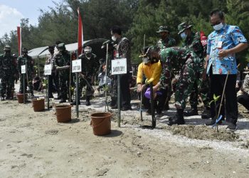 Bersinergi Dalam Menjaga dan Melestarikan Lingkungan Hidup, Kodim 0811 Tuban Tanam Mangrove