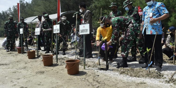 Bersinergi Dalam Menjaga dan Melestarikan Lingkungan Hidup, Kodim 0811 Tuban Tanam Mangrove