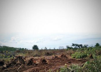 Proyek Kilang Minyak GRR, Adanya Tukar Guling Lahan di Tuban Dengan Banyuwangi Dinilai Memicu Timbulkan Bencana,   Aktivis lingkungan YPAAI Angkat Bicara