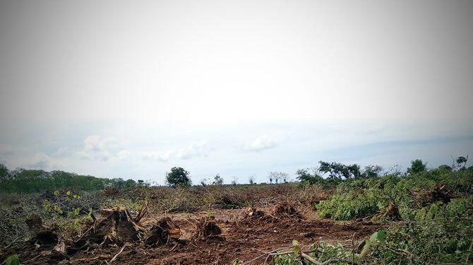 Proyek Kilang Minyak GRR, Adanya Tukar Guling Lahan di Tuban Dengan Banyuwangi Dinilai Memicu Timbulkan Bencana, Aktivis lingkungan YPAAI Angkat Bicara