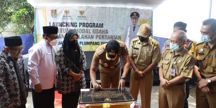 Program Bantuan Modal Usaha Pipanisasi Lahan Pertanian, Ini Kata Mas Bupati