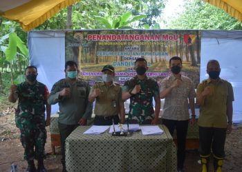Peringati HMPI, Perum Perhutani KPH Tuban bersama Dandim 0811 Tuban, melaksanakan MoU dan Penanaman Pohon