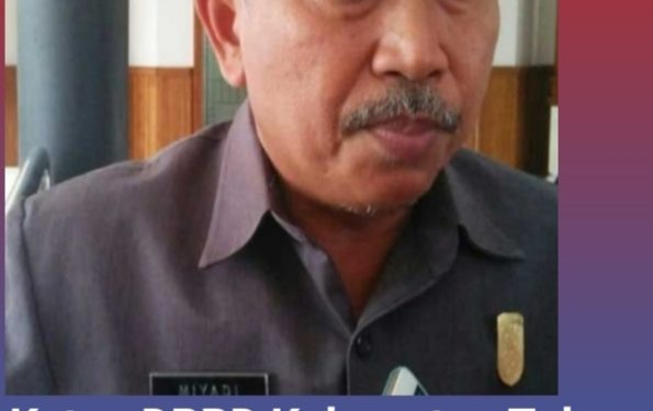 Ketua DPRD Tuban Angkat Bicara Soal Tambang di Kowang