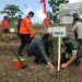 Dandim 0811 Tuban Tanam Ribuan Pohon Produktif Bersama Forkopimda,Forkopimka dan CDK Bojonegoro serta KPH Parengan