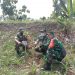 Danramil 0811/16 Singgahan Bersama Forkopimka Laksanakan Reboisasi Ribuan Pohon Produktif