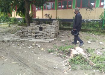 Kayu Jati Barter Dengan Paving Bekas