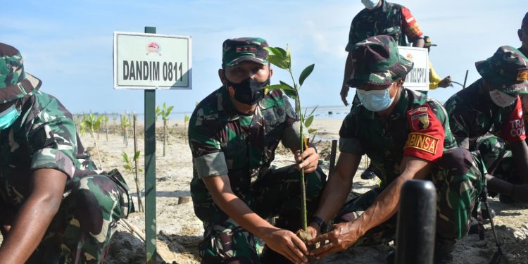 Dandim 0811 Dampingi Danrem 082/CPYJ Tanam Ribuan Pohon Mangrove