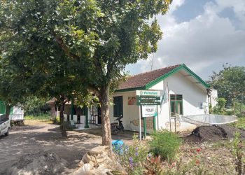 Terkait Penyewaan dan Jual Beli Lahan Garapan (Percil) Tanah negara, Perhutani Tuban Diduga Lakukan Pungli