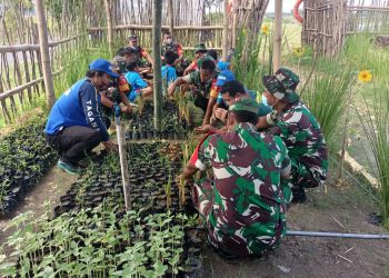Rangkul Pemuda, Babinsa Koramil 05 Rengel Kodim 0811 Pelopori Budidaya Tanaman Vetiver