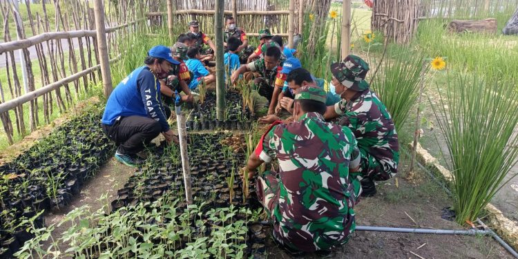 Rangkul Pemuda, Babinsa Koramil 05 Rengel Kodim 0811 Pelopori Budidaya Tanaman Vetiver