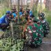 Rangkul Pemuda, Babinsa Koramil 05 Rengel Kodim 0811 Pelopori Budidaya Tanaman Vetiver