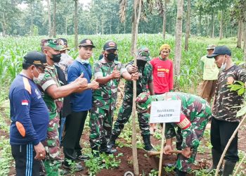 Jajaran TNI Koramil 0813-05/Dander dan Forkopimcam Dander Tanam Ratusan Pohon