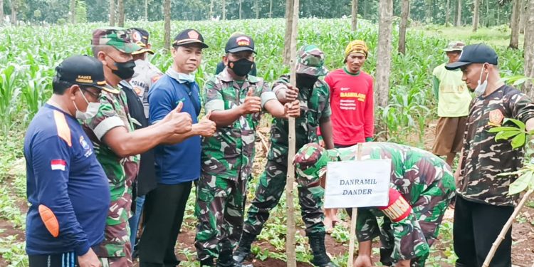 Jajaran TNI Koramil 0813-05/Dander dan Forkopimcam Dander Tanam Ratusan Pohon