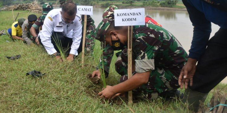 Dandim 0811 Tanam Rumput Vetiver Untuk Cegah Bencana Longsor