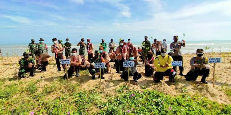 Koramil 0811/12 Dan Forkopimca Cegah Abrasi Laut Bersama SWK Serta Elemen Masyarakat, Dengan menanam Mangrove Di Desa Margosuko Kecamatan Bancar Tuban
