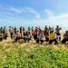 Koramil 0811/12 Dan Forkopimca Cegah Abrasi Laut Bersama SWK Serta Elemen Masyarakat, Dengan menanam Mangrove Di Desa Margosuko Kecamatan Bancar Tuban