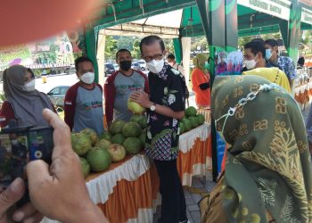 Gelar Festival Jeruk Pamelo Penyajian Para Pemudik Dikebun Refugia Magetan