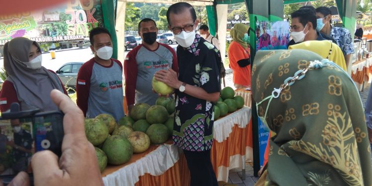 Gelar Festival Jeruk Pamelo Penyajian Para Pemudik Dikebun Refugia Magetan