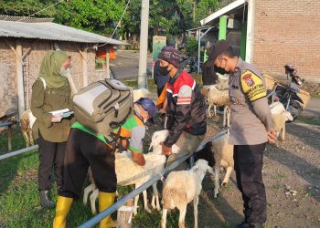 Antisipasi Penyebaran PMK Hewan Ternak, Polres Magetan Bersama Dinas Terkait Laksanakan Pengecekan Di Pasar Pahingan