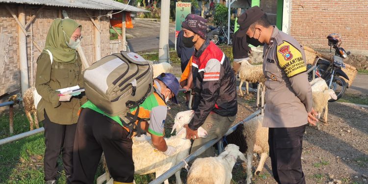 Antisipasi Penyebaran PMK Hewan Ternak, Polres Magetan Bersama Dinas Terkait Laksanakan Pengecekan Di Pasar Pahingan