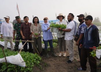 Serahkan Bantuan Bibit Tembakau, Bupati Anna : Saya Tugaskan Disperta Kawal Petani