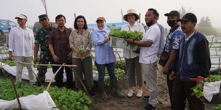 Serahkan Bantuan Bibit Tembakau, Bupati Anna : Saya Tugaskan Disperta Kawal Petani