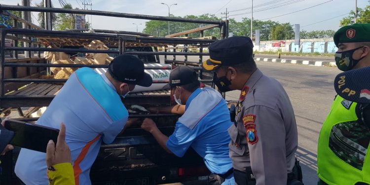 Antisipasi Penyebaran PMK, Gabungan Instansi Terkait dan Polsek Trowulan Gelar Operasi