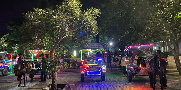 Naik Delman di Taman Rajekwesi Sebagai Wisata Malam Kabupaten Bojonegoro