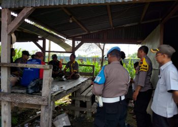 Kapolsek Widang Bersama Forkopimka Adakan Pemantauan Dan Pemeriksaan Keswan