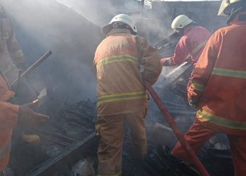 Belasan Kios Pasar Bungkal Balen bojonegoro Ludes di Lalap Jago Merah