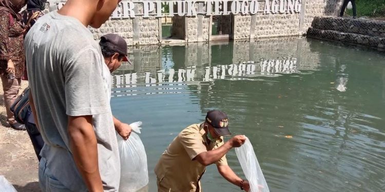 Jaga SDA, Pemkab Kediri Tebar Ribuan Benih Ikan