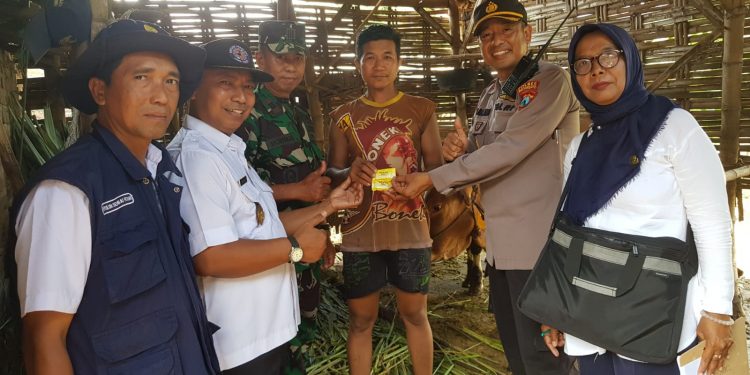 Aman Nusa II-Penanganan Penyakit Mulut dan Kuku 2022