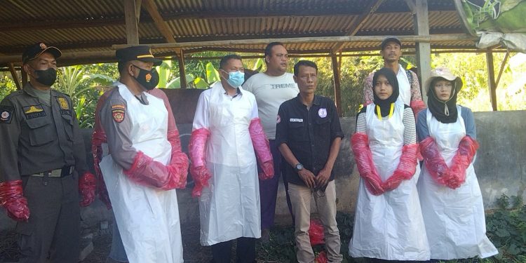 Forkopimcam Tambakrejo Bojonegoro Berlakukan Penyemprotan Disinfektan Guna Cegah PMK