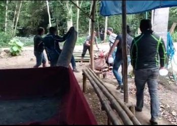 Arena Judi Sabung Ayam di Bandung Tulungagung Digerebek Polisi , Pelaku Judi Kocar Kacir