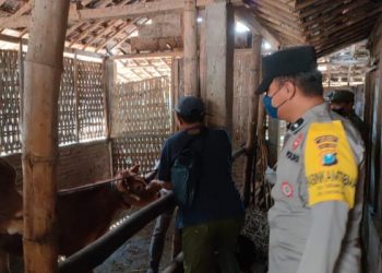 Polres Ngawi Bersama Dinas Perikanan Peternakan Gelar Vaksinasi Hewan