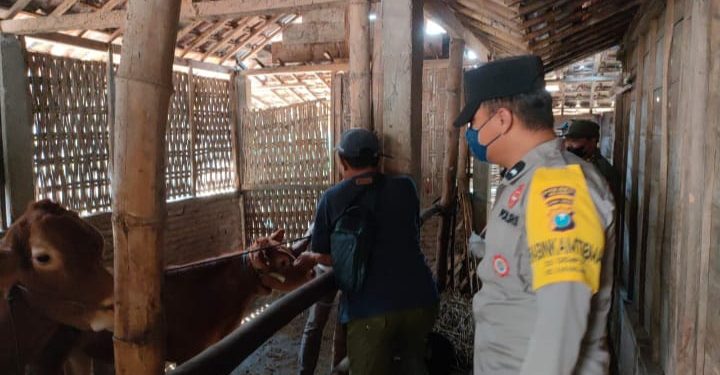 Polres Ngawi Bersama Dinas Perikanan Peternakan Gelar Vaksinasi Hewan