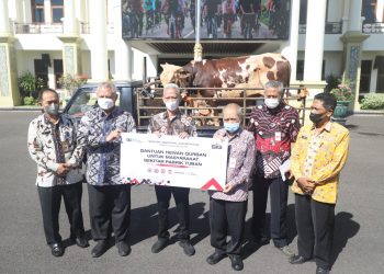 Siapkan Petugas Kesehatan, Pemkab Tuban Pantau Penyembelihan dan Distribusi Hewan Kurban