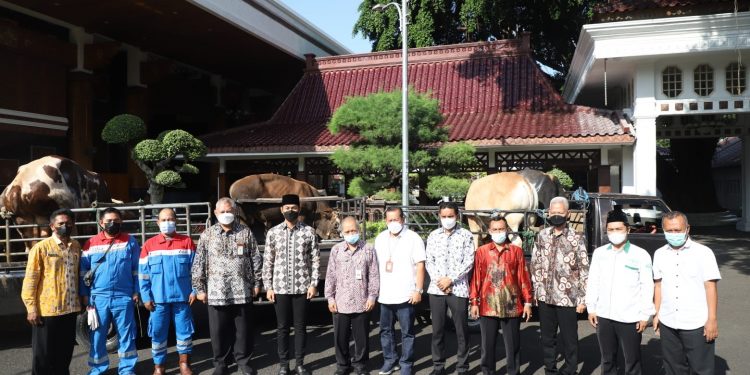 Mas Lindra : Momen Idul Adha Perbedaan Hal Yang Biasa