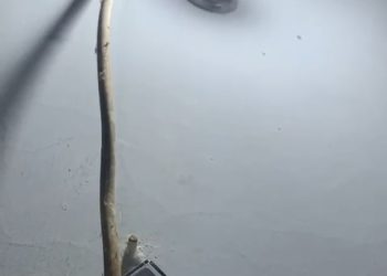 Pabrik Gula Diduga Sebagai Pemicu Voltase Listrik Tidak Stabil Warga Dusun Sadar Desa Bendiljati Kulon Mengeluh