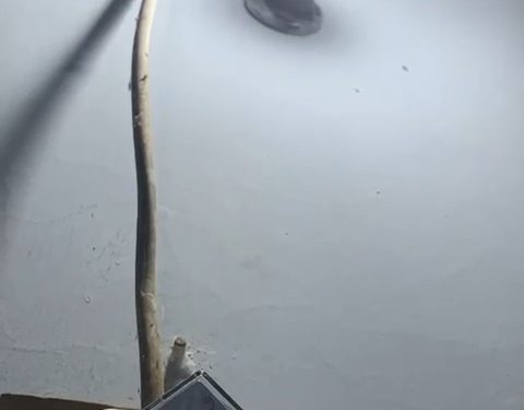 Pabrik Gula Diduga Sebagai Pemicu Voltase Listrik Tidak Stabil Warga Dusun Sadar Desa Bendiljati Kulon Mengeluh