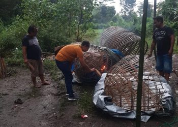 Sabung Ayam Digerebek Polres Jombang, Dua Pelaku Ditangkap
