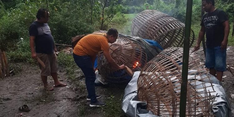 Sabung Ayam Digerebek Polres Jombang, Dua Pelaku Ditangkap
