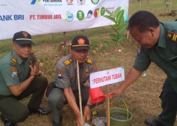 Peringatan Hari Pers ke 28 Tahun 2023, KPH Perhutani Tuban Apresiasi Giat Penanaman Pohon